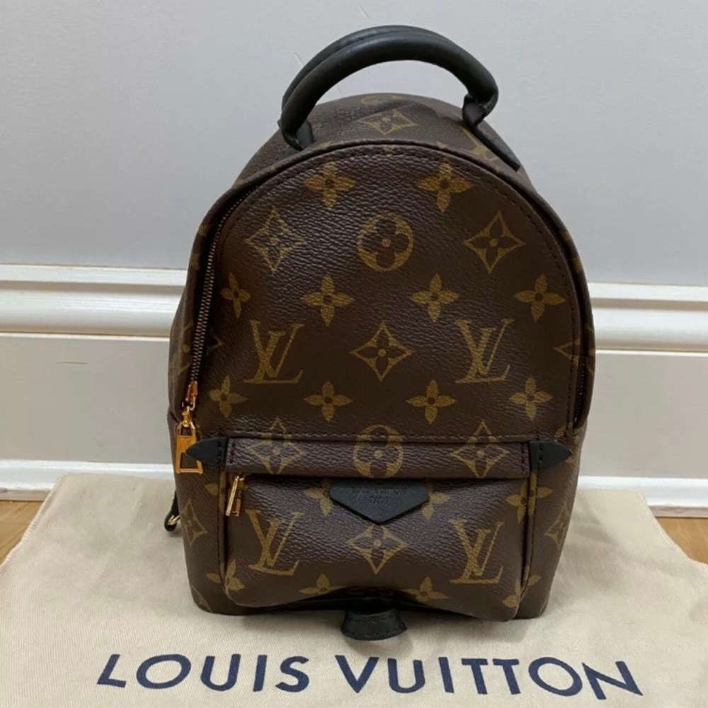 Louis Vuitton Palm Springs mini